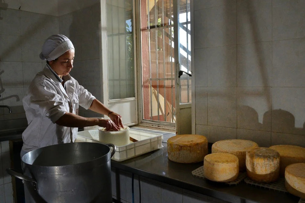 Pecorino Laticauda di Casalbore
