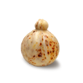 Caciocavallo piccante di Castelfranco