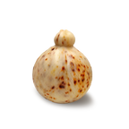 Caciocavallo piccante di Castelfranco