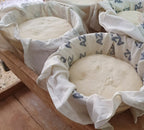 Pastarelle  di Montefalcone