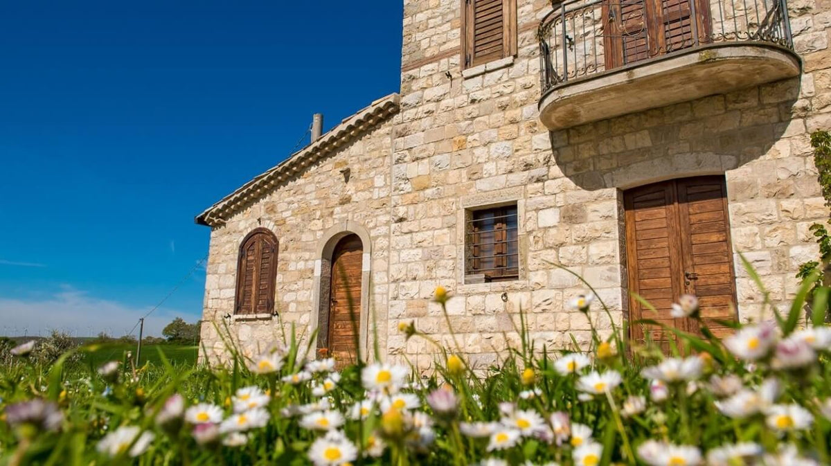 Azienda Agricola Caseria