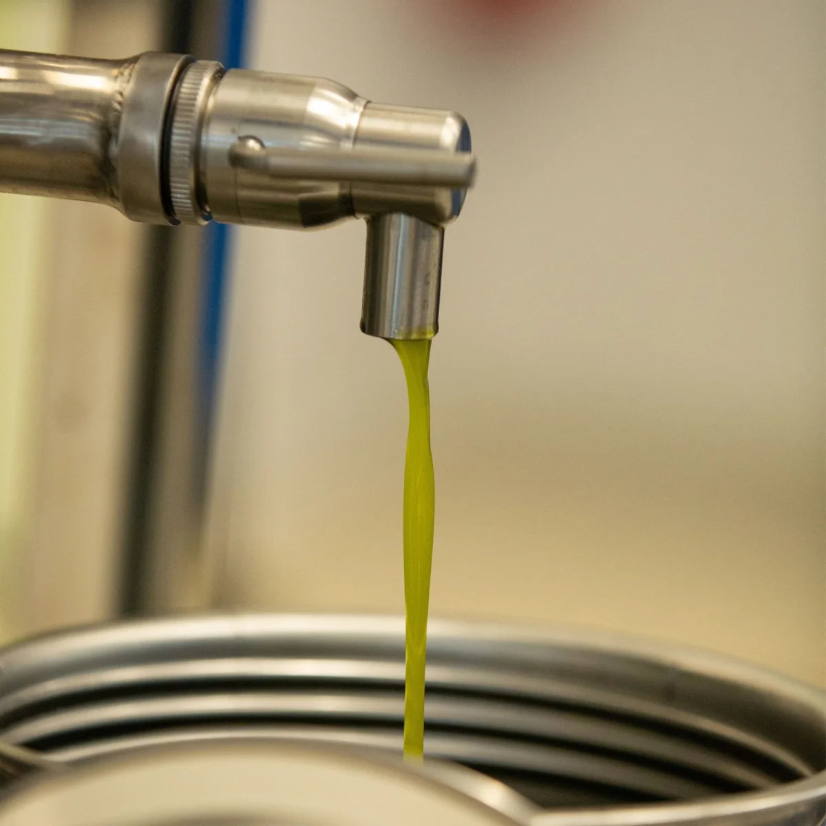 Olio EVO Seleca di Molinara