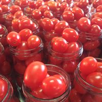 Pomodori preparati per una fase di lavorazione e conservazione.