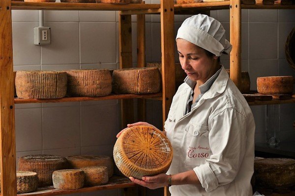 La stagionatura del pecorino all’Azienda Agricola Corso